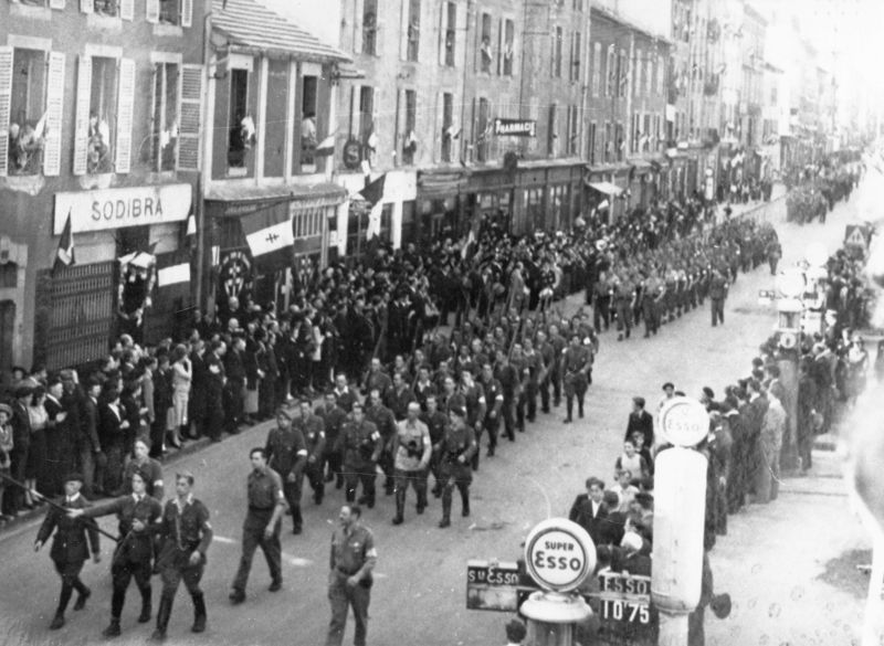 Photo, Bureau, Vache, Amusement, 3D